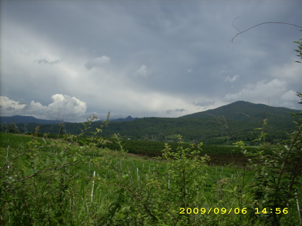el picacho des de santa clara