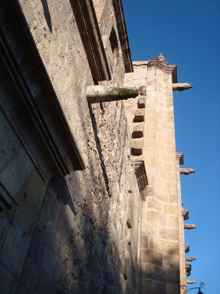 Morelia