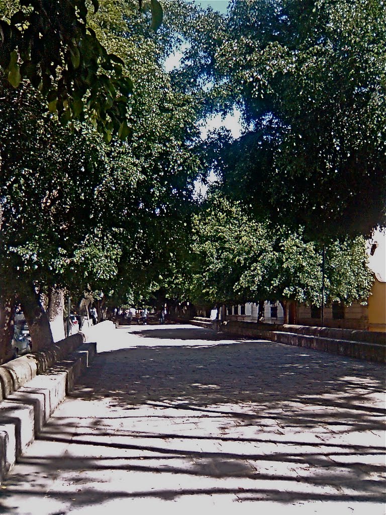 Calle Revillagigedo, todo al rededor me recuerda a Coyoacan