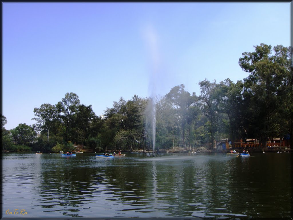 Lago en el Zoológico de Morelia