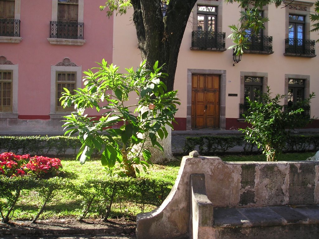 jardin de las rosas 2