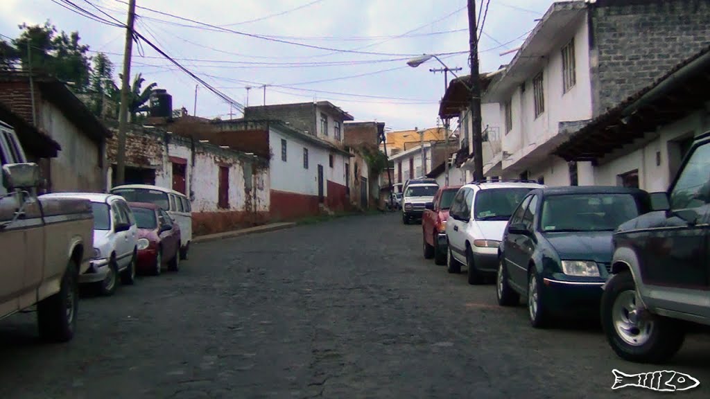 Calle Lerin