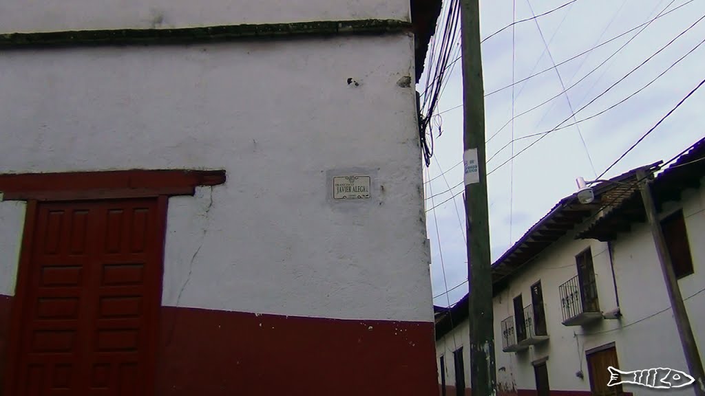 Calle Francisco javier Alegre