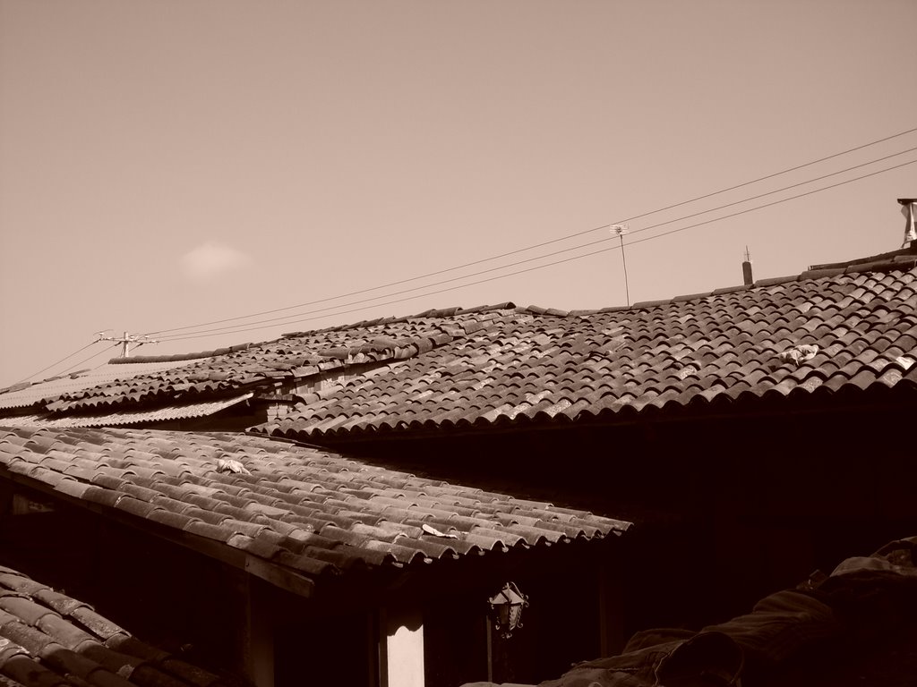 Tejas