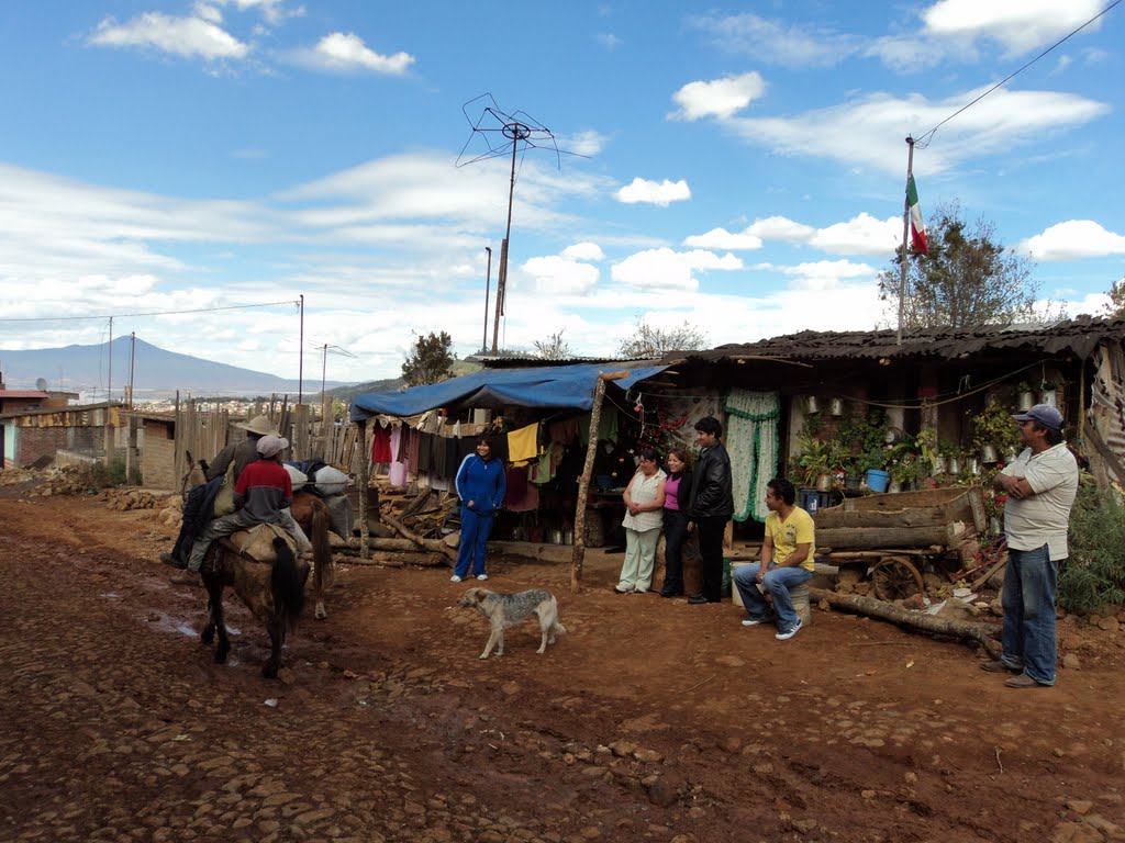 zona abitacional