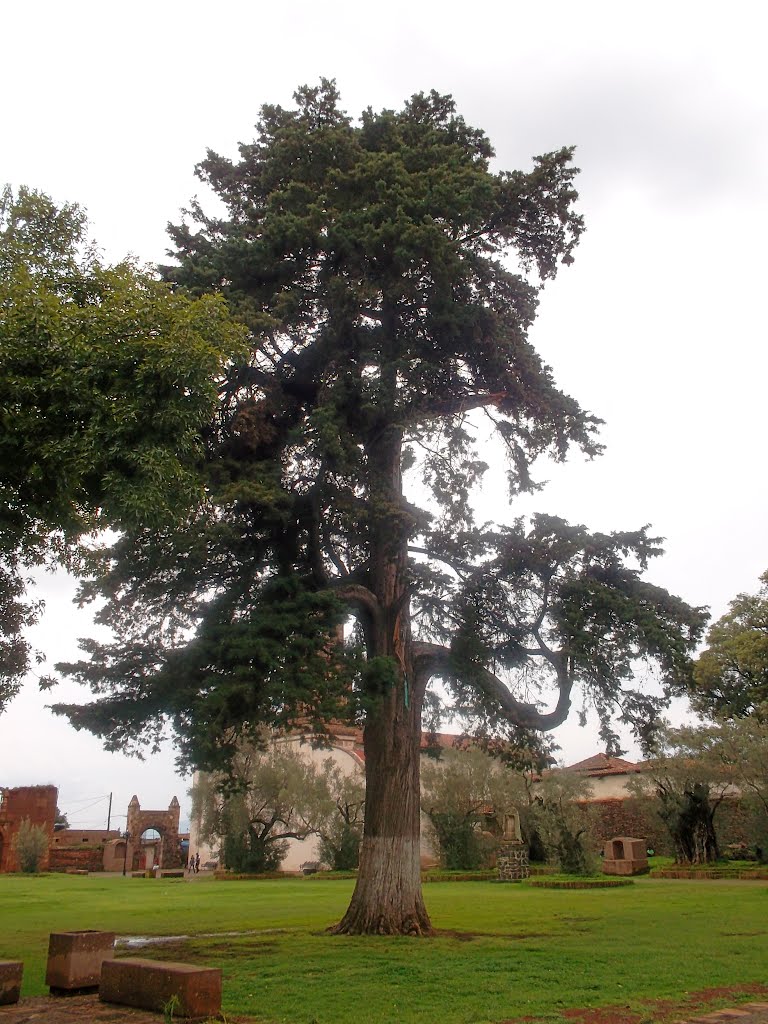 campo santo en patzcuaro