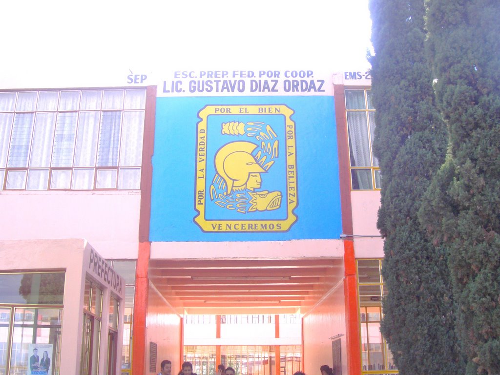 PREPARATOTIA GDO