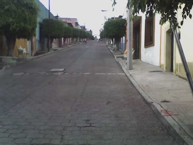 Calzada Al Santuario de Guadalupe Puruandiro