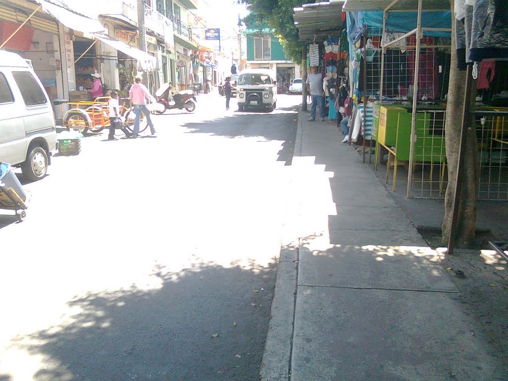 Calle Altamirano "Mercado Municipal"