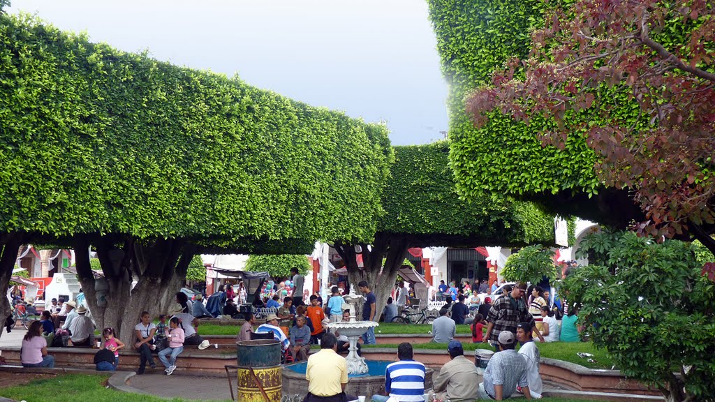 Descansando en la Plaza