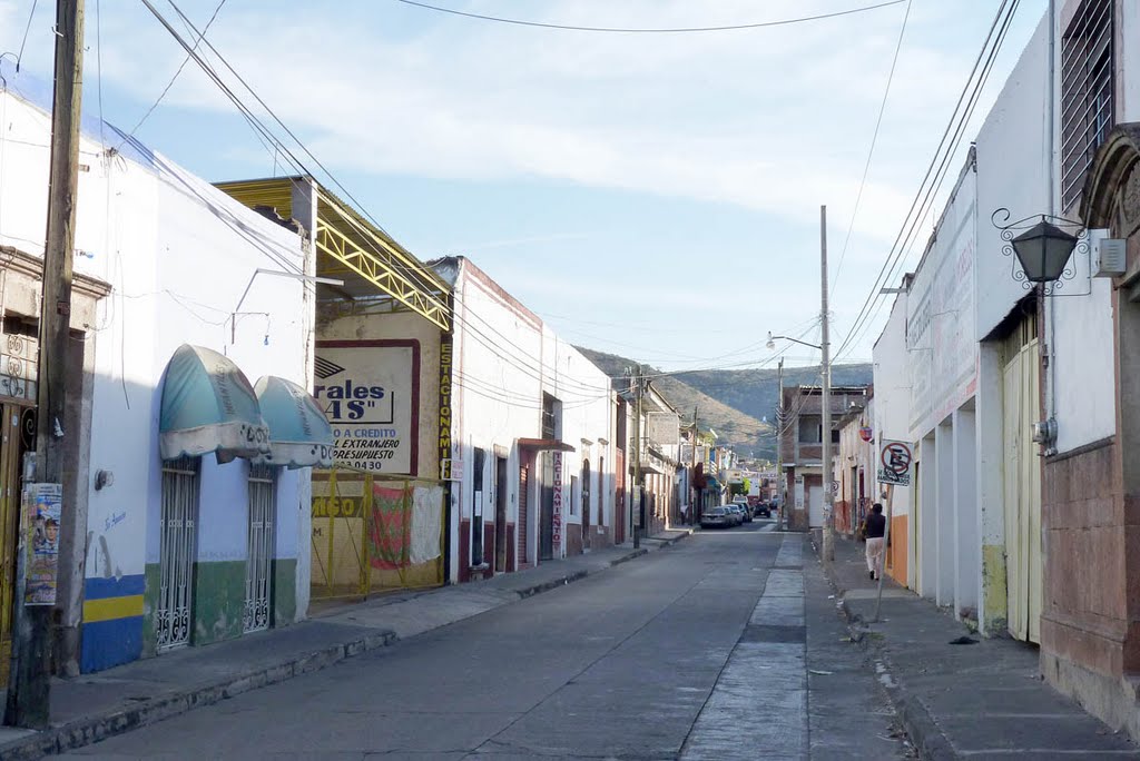 Calle Vicente Riva Palacio 01