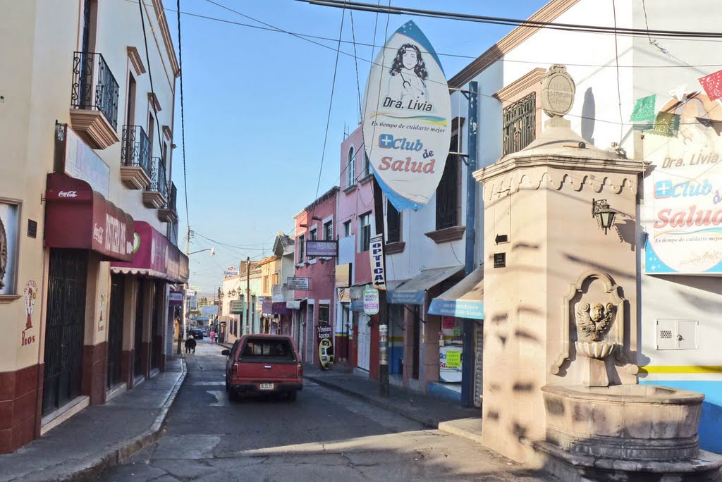 Calle Gutiérrez Nájera