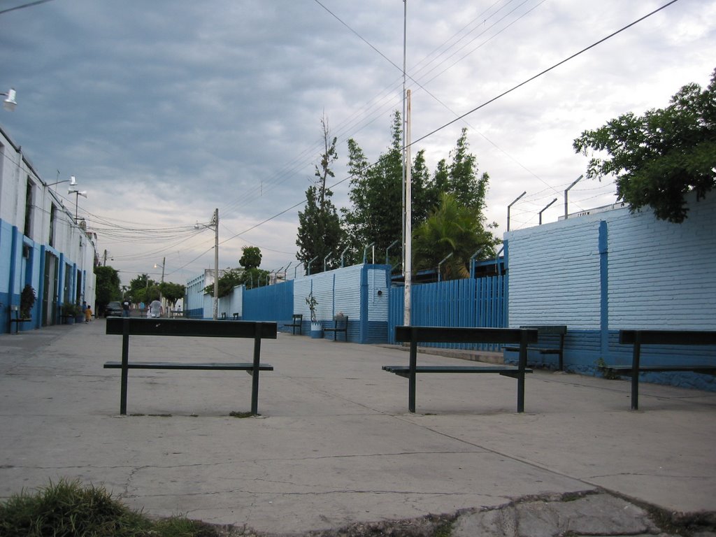 Escuela Burgos