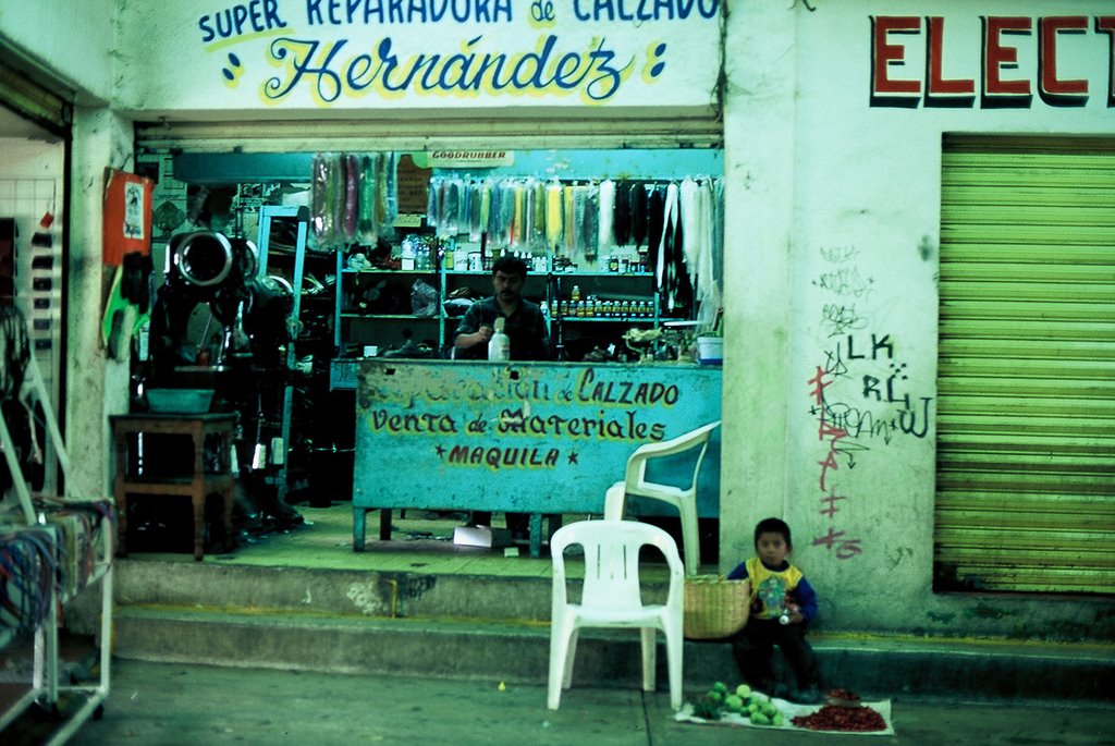 Shoe rapairman at the Cuernavaca market