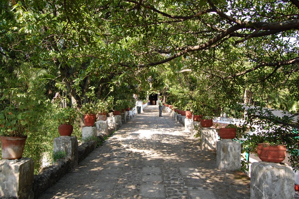 Jardin Borda 2