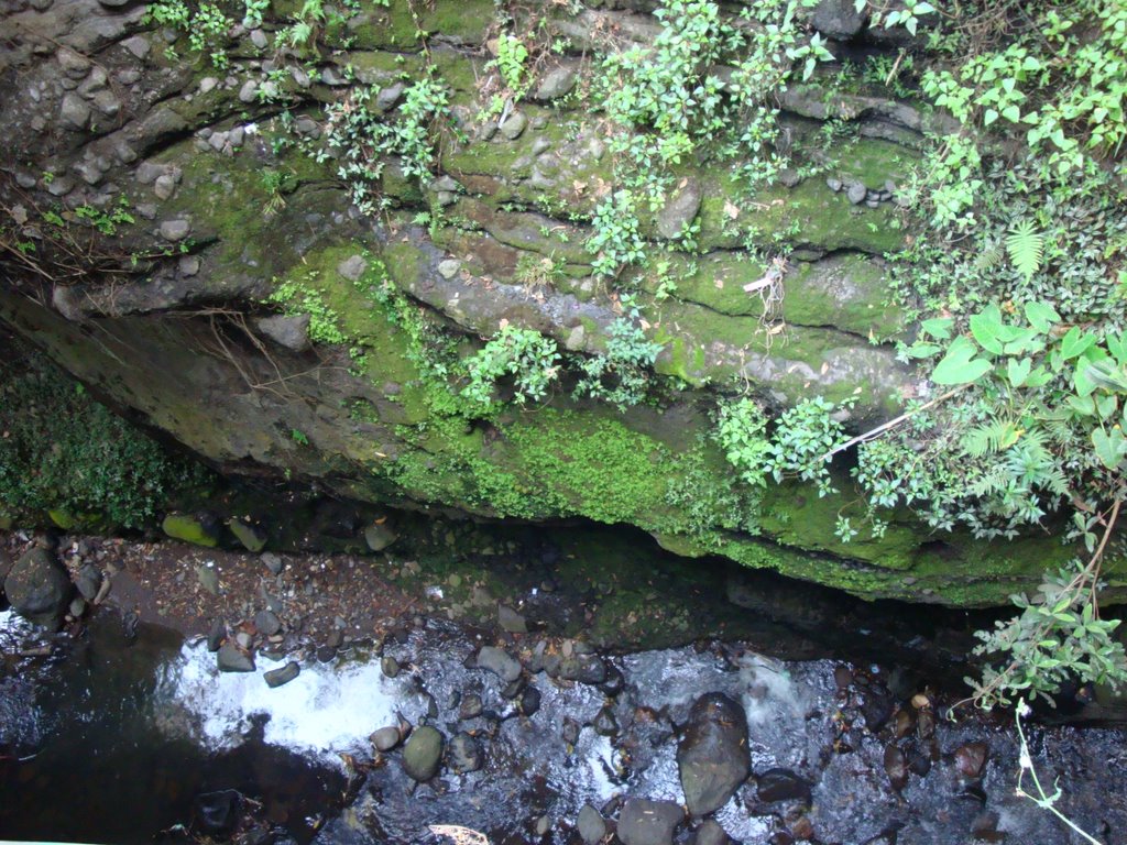 Barranca