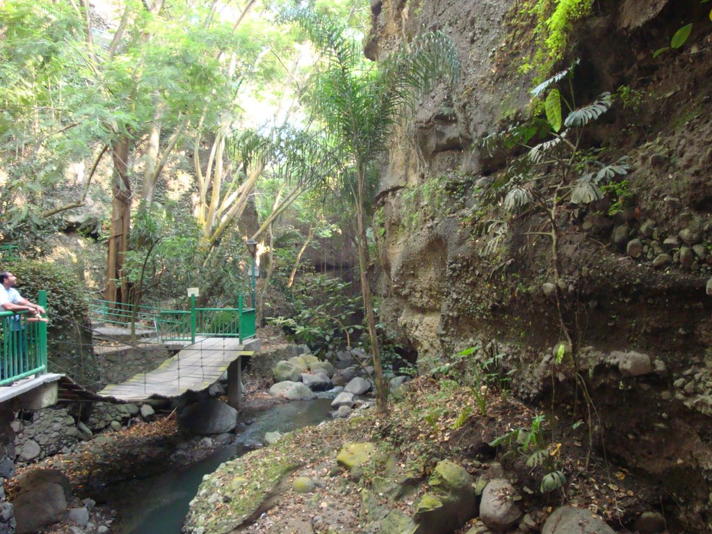 Parte profunda de la barranca