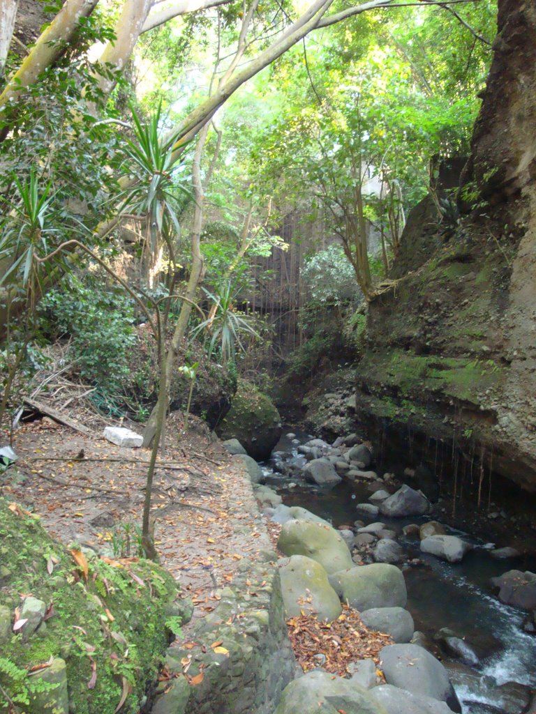 Barranca de Amanalco, joya de la eterna primavera