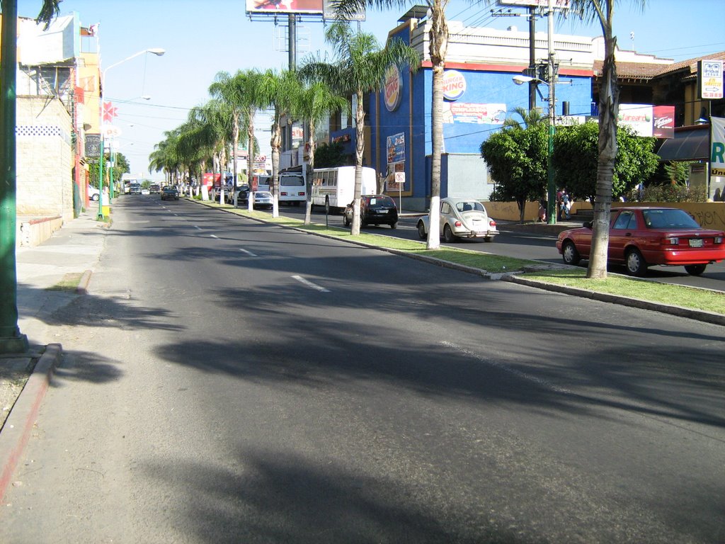 Av. Plan de Ayala_1.JPG