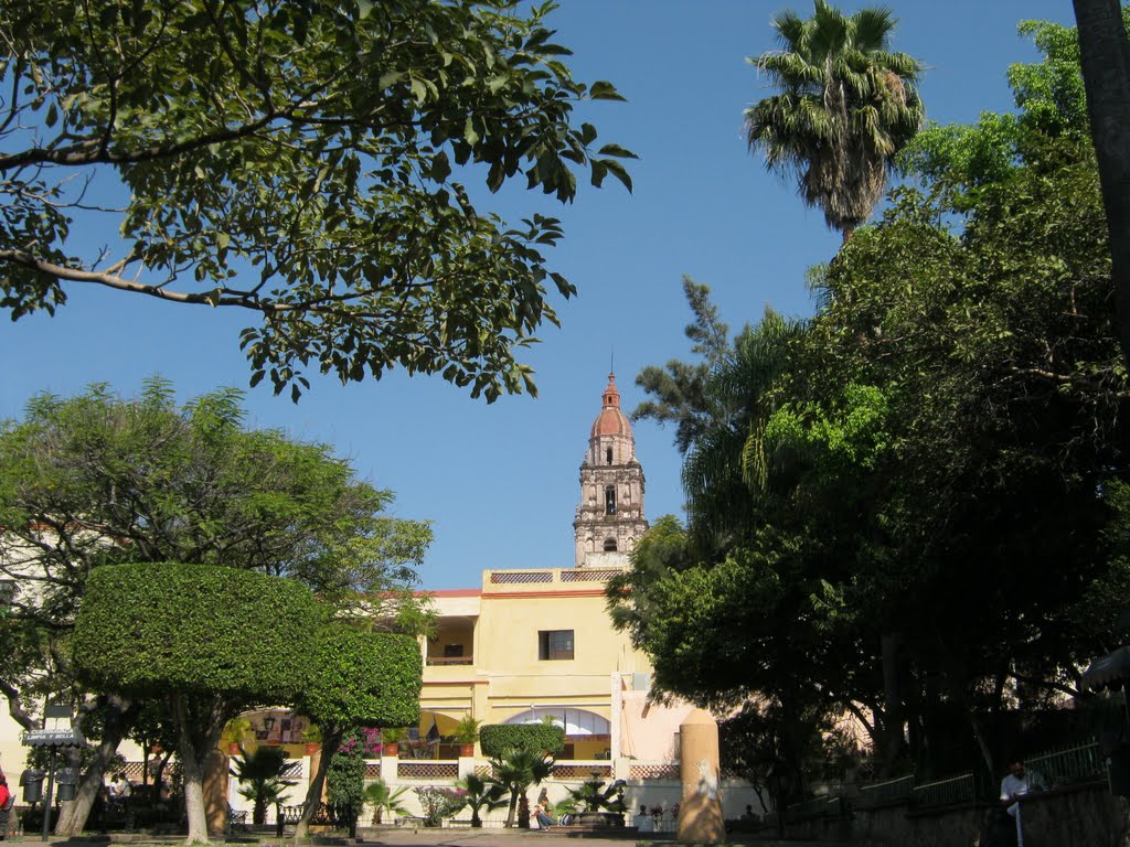 Catedral de Cuernavaca desde Parque Revolución