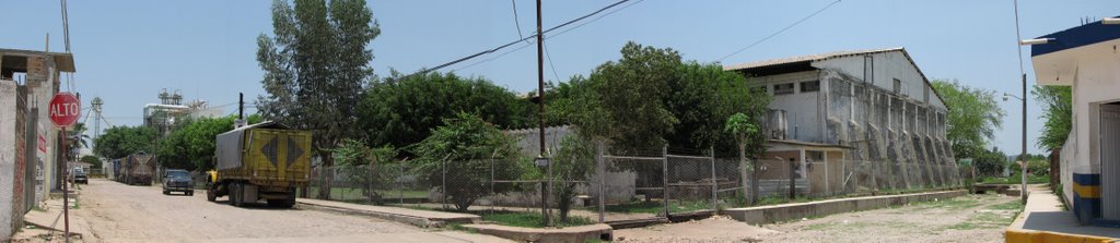 La MASECA