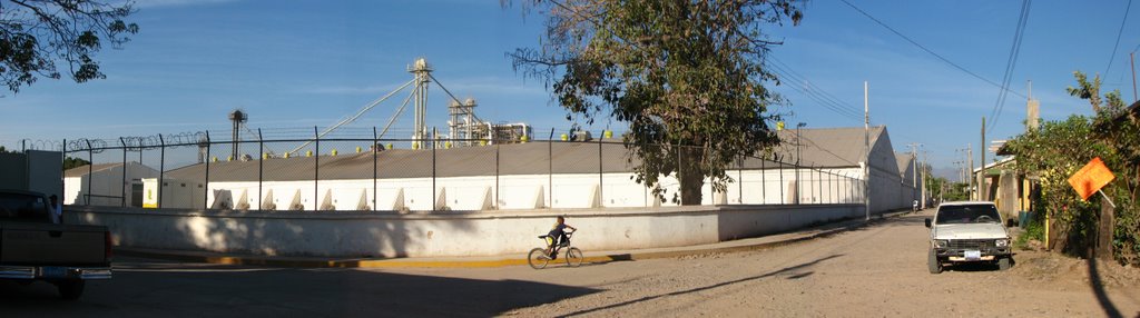 Industria MASECA