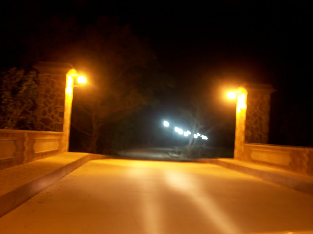 PUENTE DEL EJIDO LIBRADO RIVERA