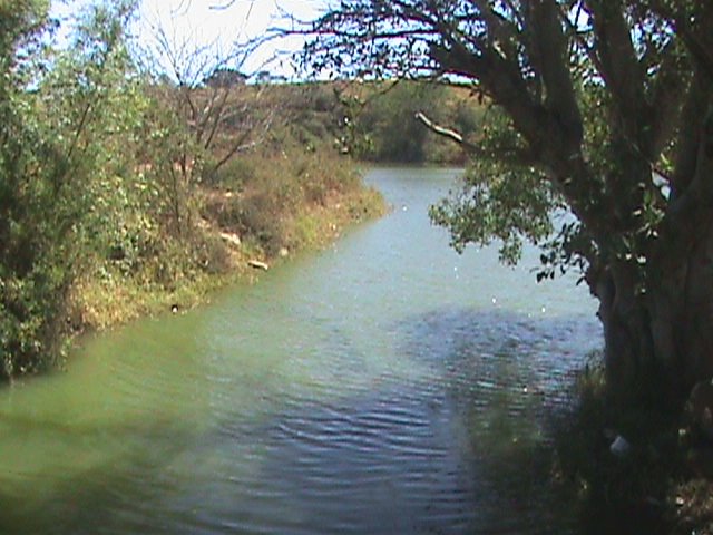 Lago Compostela Mariana Mena