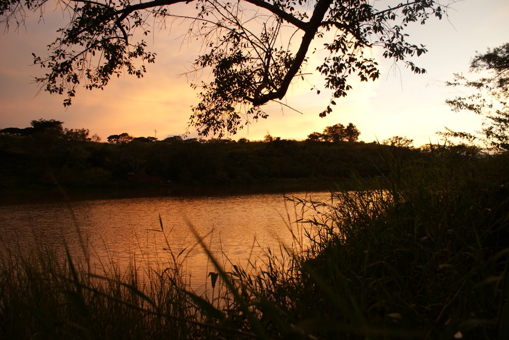atardecer