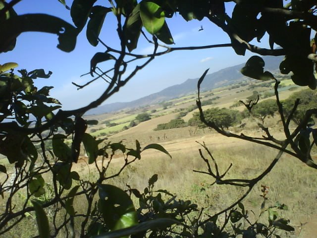 Orillas de Compostela (la loma)