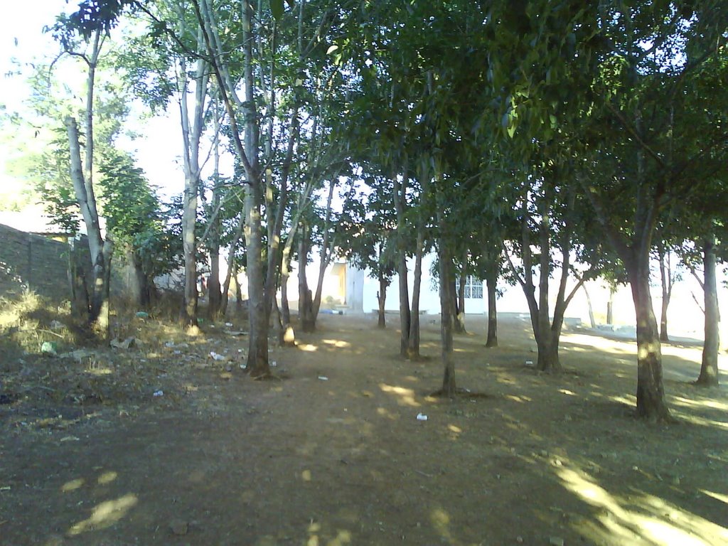 La loma