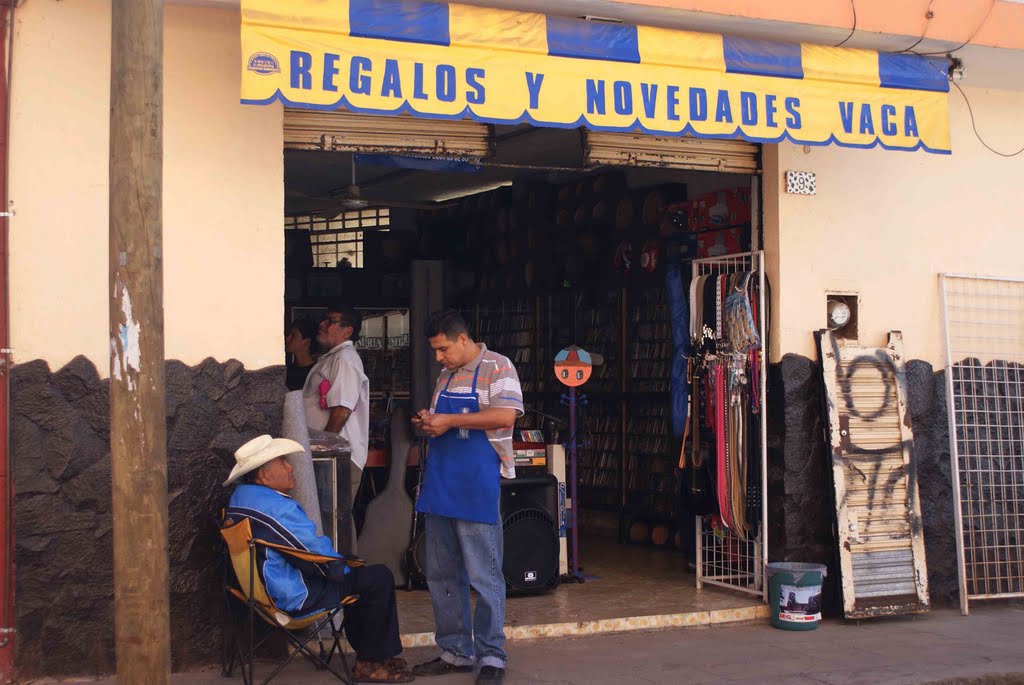 Novedades vaca