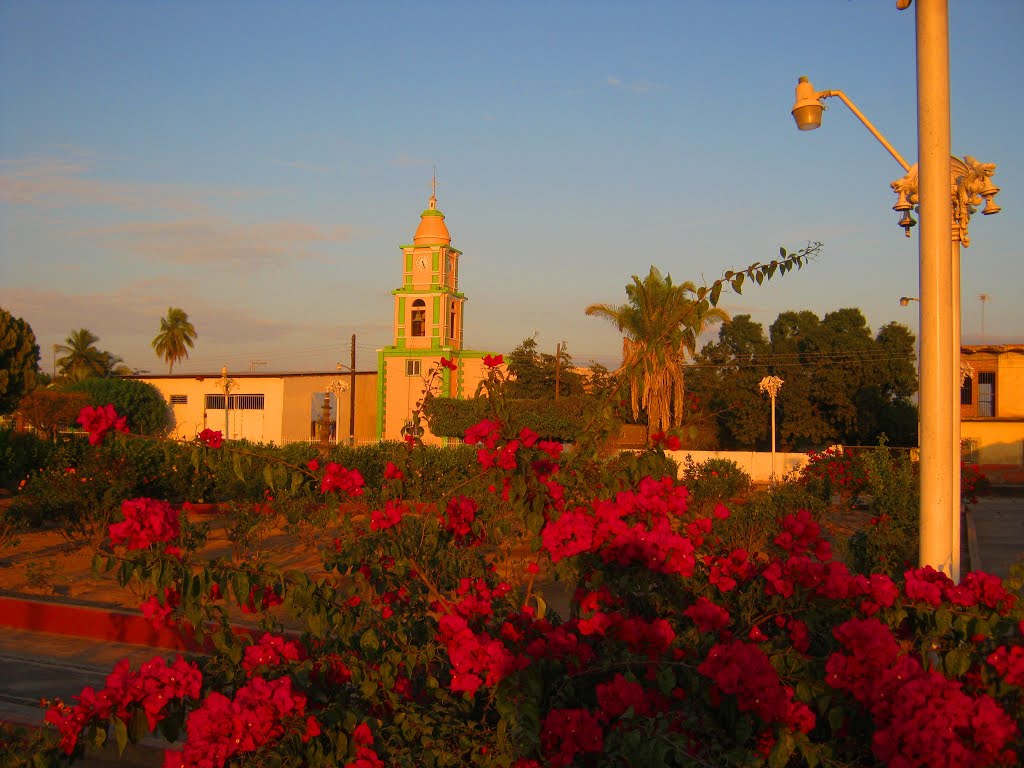 Flores en la plaza de El Filo.