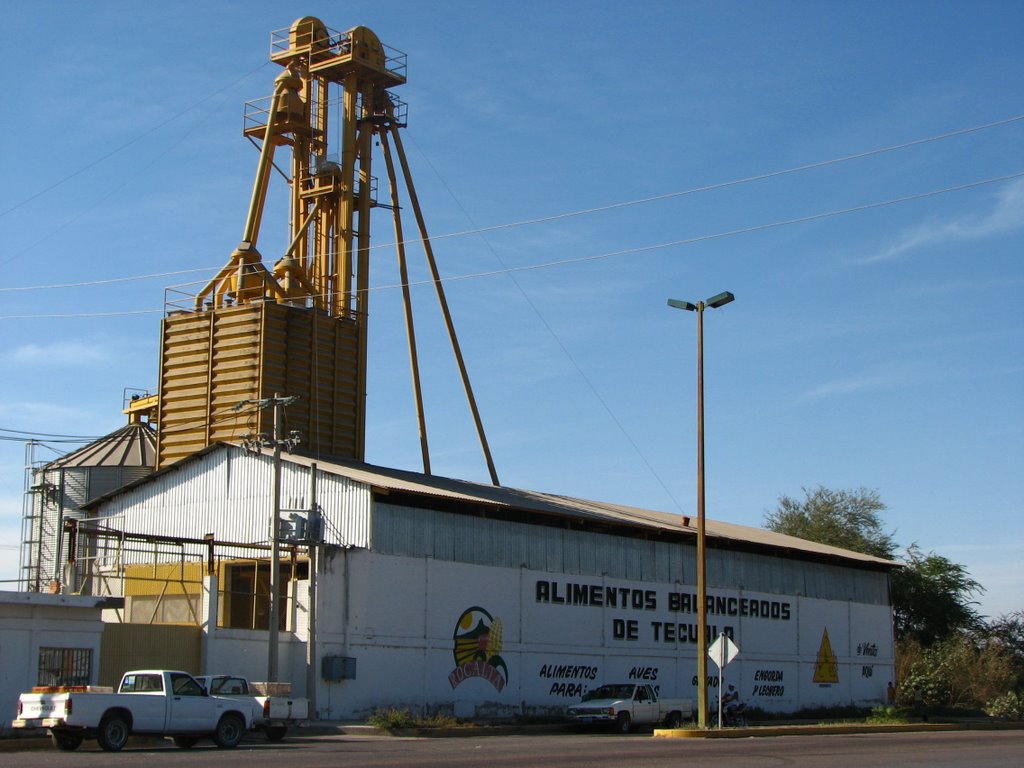 Industria en Tecuala