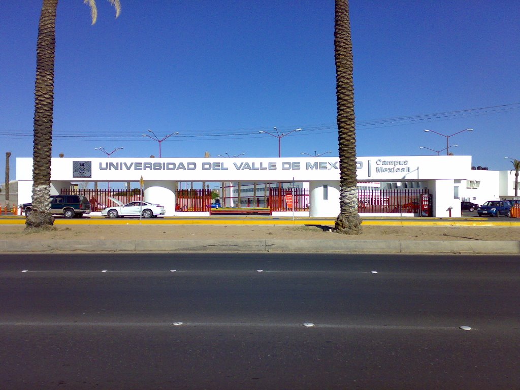 Universidad del Valle de Mexico