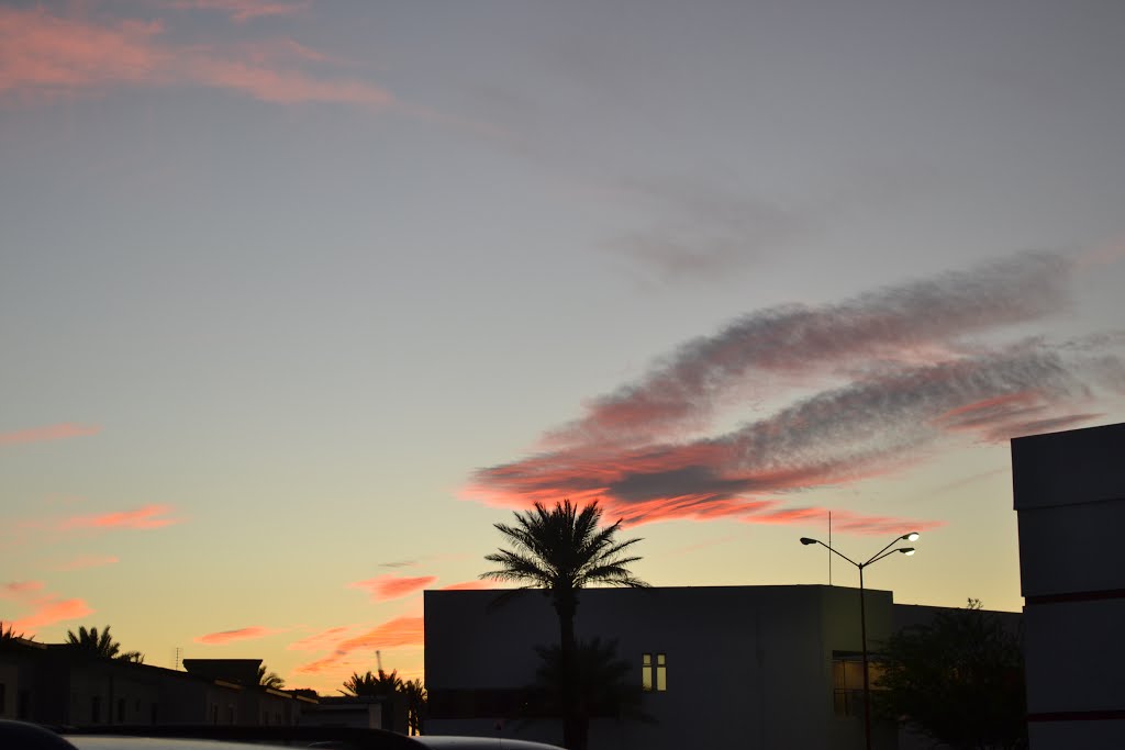 uvm mexicali