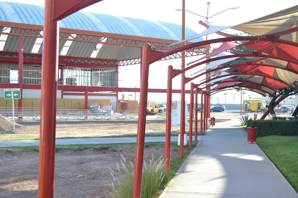 uvm mexicali pasillo