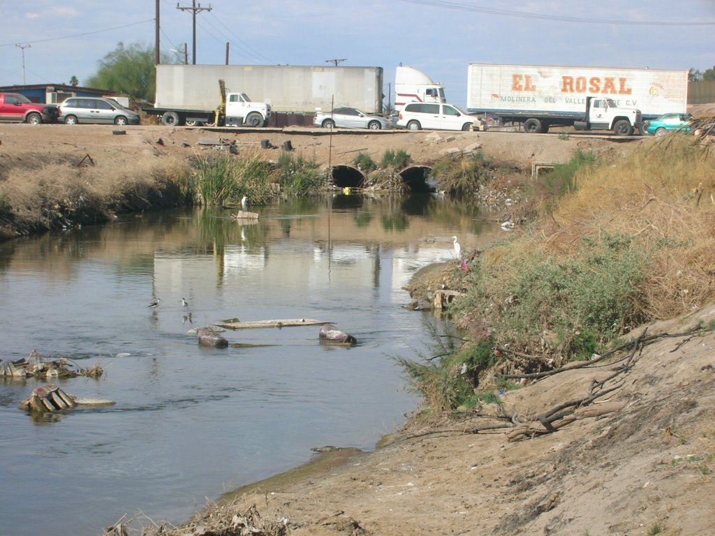 rio nuevo 3
