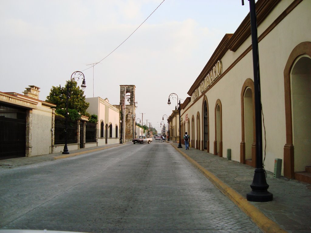 Calle Hidalgo Sur