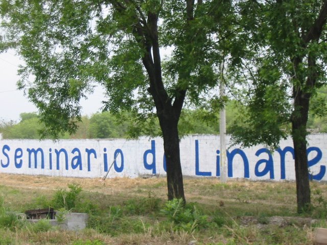 Carretera 85  Linares 3