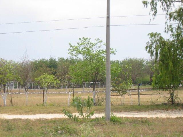 Carretera 85  Linares 7