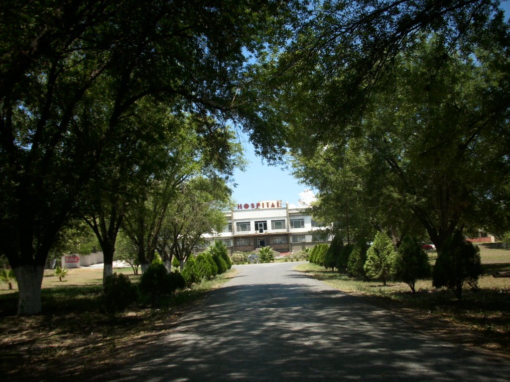Hospital General de Linares