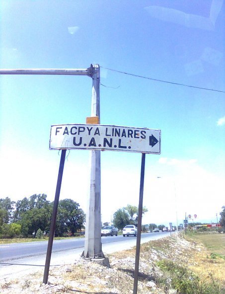 A FACPYA LINARES UANL