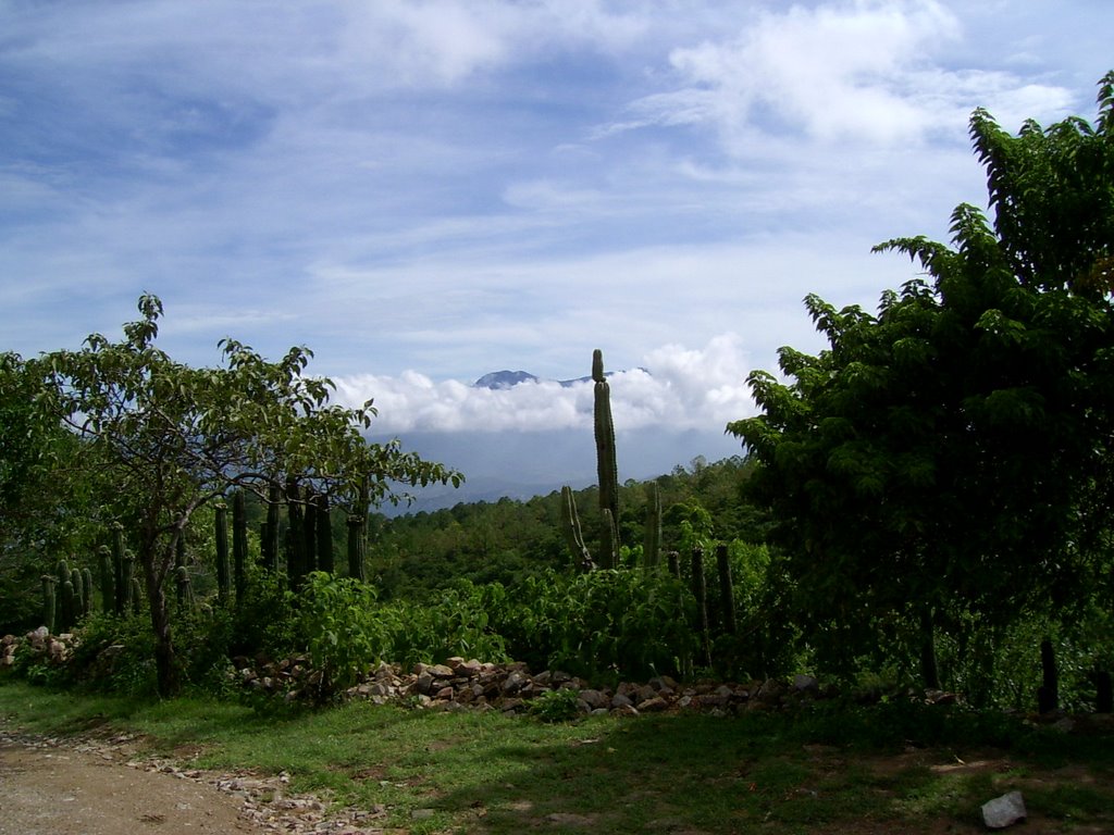 valle de Oaxaca