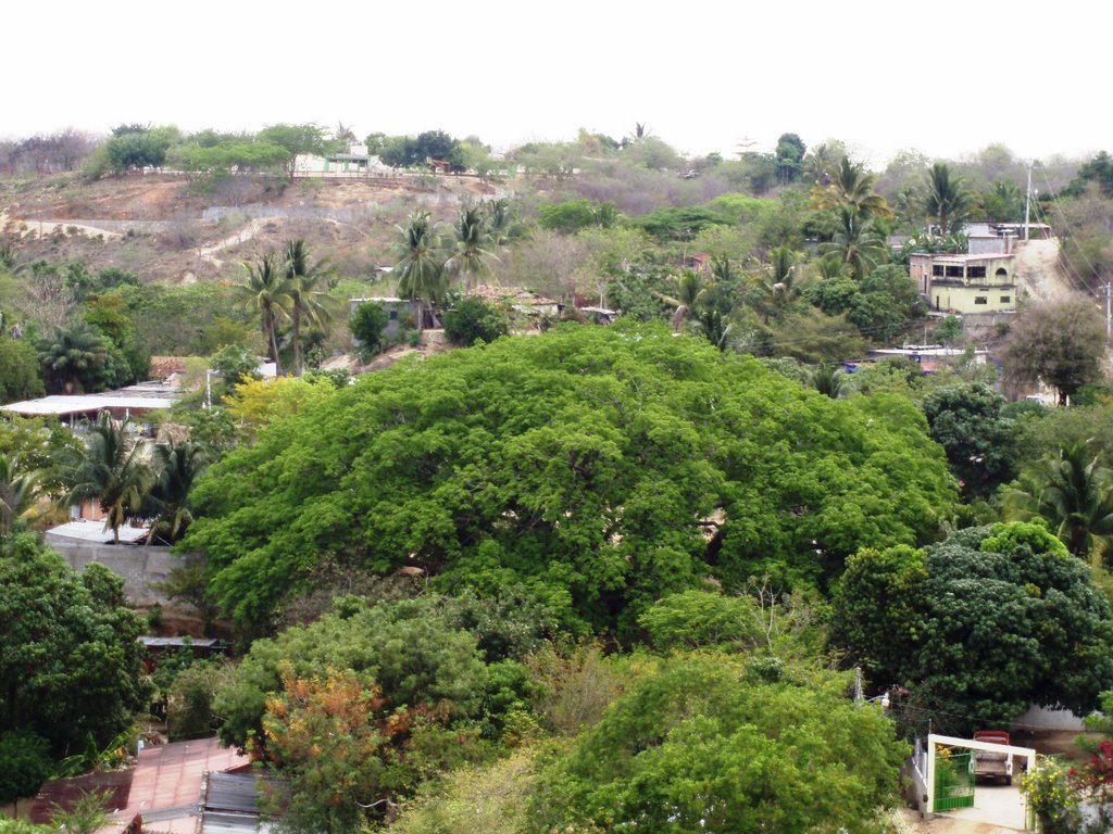 San Isidro Apango