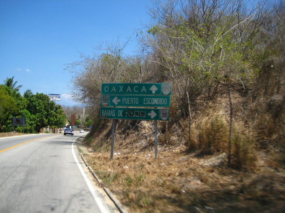 Zipolite -Mexico