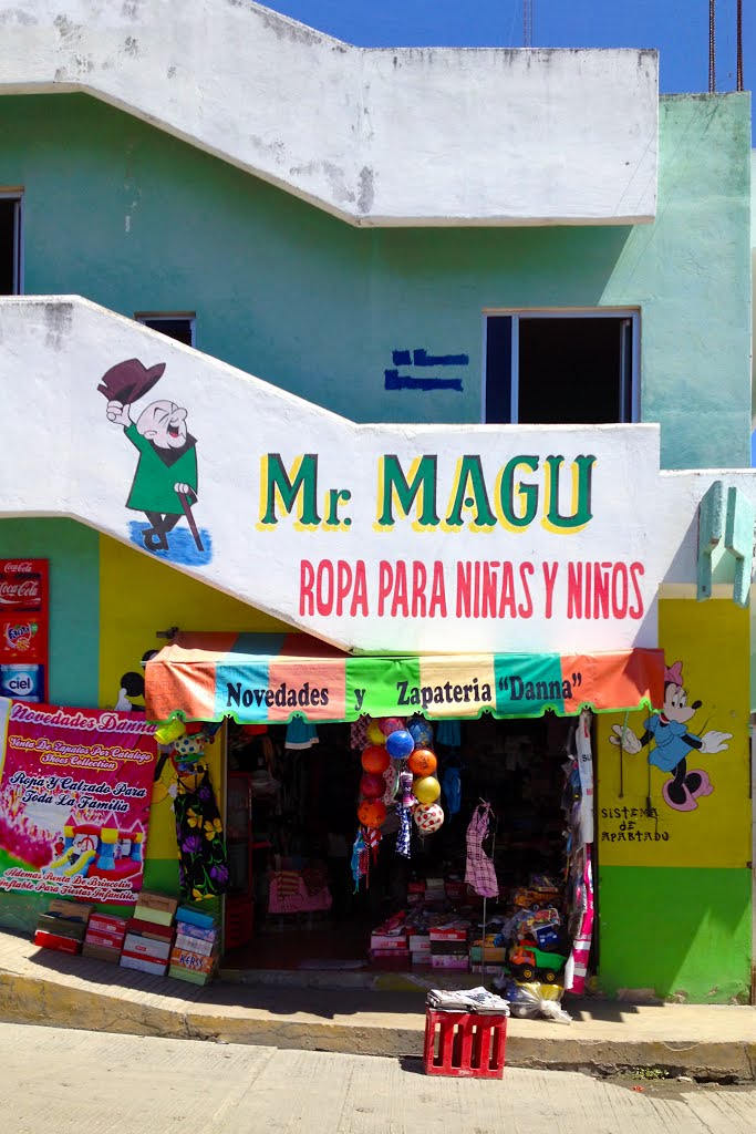 mr. magu
