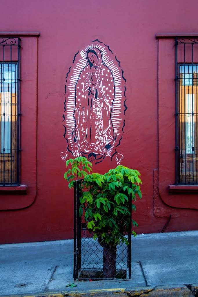 la virgen, casa de los milagros, oaxaca