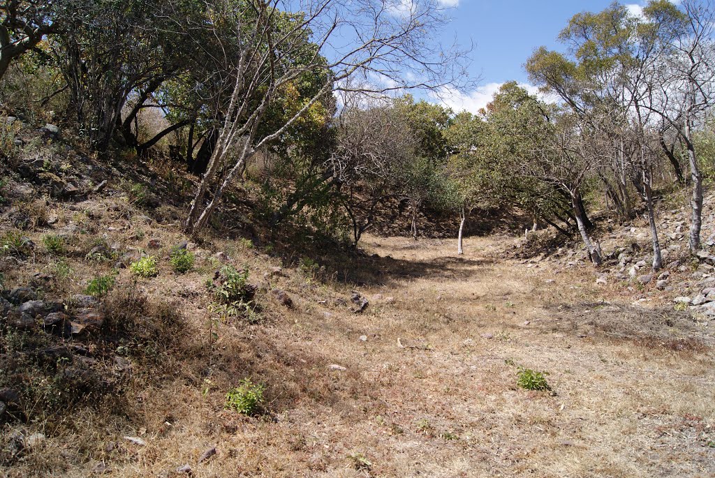 RUINAS DEL JUEGO DE PELOTA #2, CERRO IKI YA,