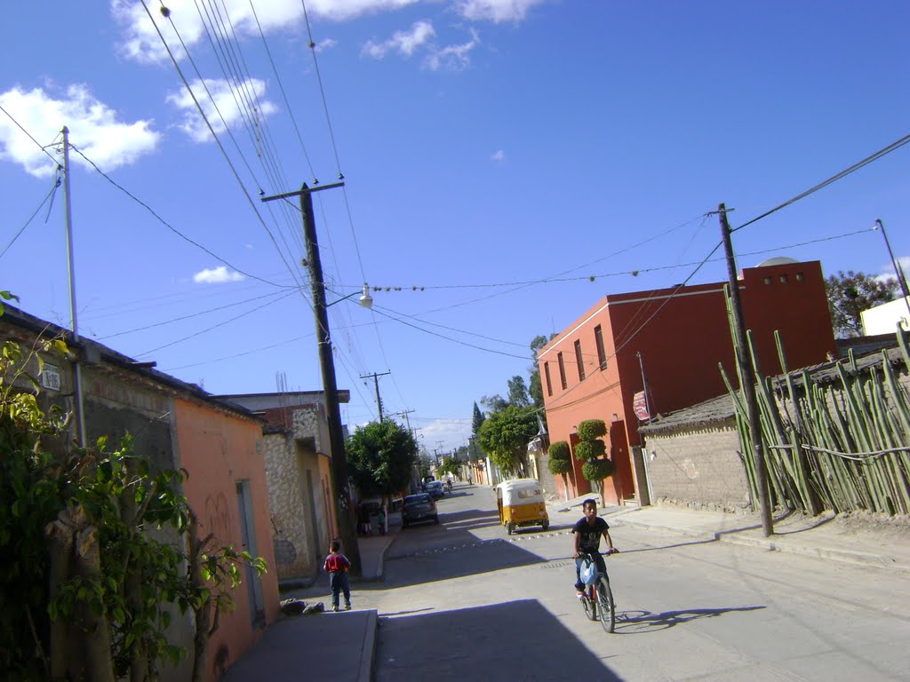 Tlacolula de Matamoros